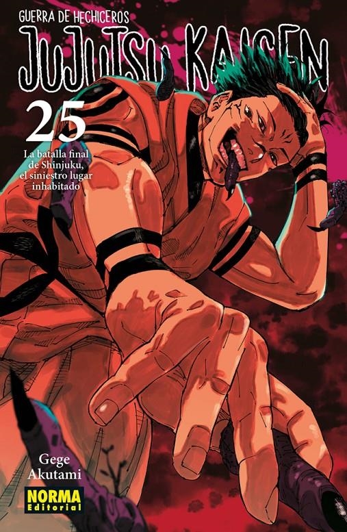 JUJUTSU KAISEN Nº25 (GUERRA DE HECHICEROS) [RUSTICA] | AKUTAMI, GEGE | Akira Comics  - libreria donde comprar comics, juegos y libros online