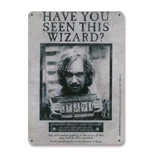 HARRY POTTER: PLACA DE CHAPA HAVE YOU SEEN THIS WIZARD 15  X 21 CM | Akira Comics  - libreria donde comprar comics, juegos y libros online