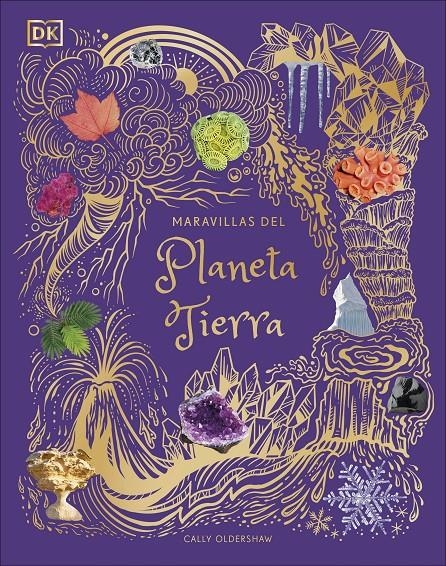 MARAVILLAS DEL PLANETA TIERRA [CARTONE] | OLDERSHAW, CALLY | Akira Comics  - libreria donde comprar comics, juegos y libros online