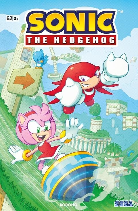 SONIC: THE HEDGEHOG Nº62 [GRAPA] | FLYNN,IAN | Akira Comics  - libreria donde comprar comics, juegos y libros online