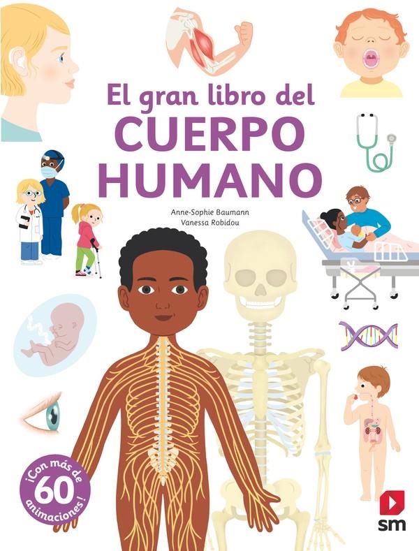 GRAN LIBRO DEL CUERPO HUMANO, EL [CARTONE] | BAUMANN, ANNE-SOPHIE | Akira Comics  - libreria donde comprar comics, juegos y libros online