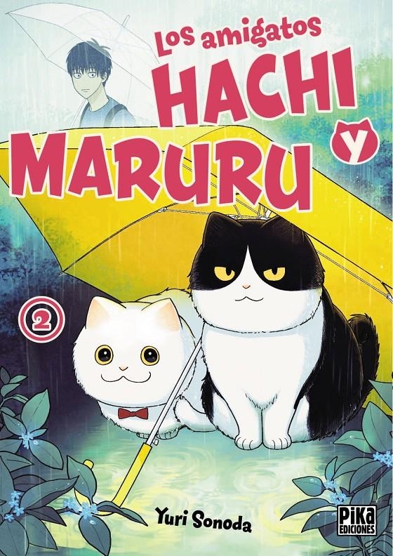 AMIGATOS HACHI Y MARURU Nº2 [RUSTICA] | SONODA, YURI | Akira Comics  - libreria donde comprar comics, juegos y libros online