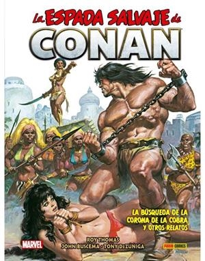 Comprar Conan el Bárbaro 10 - Mil Comics: Tienda de cómics y figuras  Marvel, DC Comics, Star Wars, Tintín