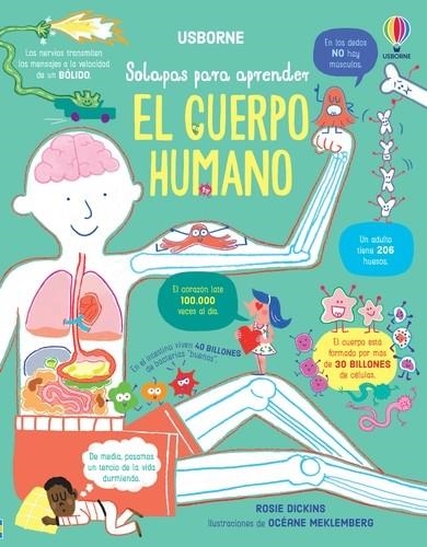 CUERPO HUMANO, EL [CARTONE] | DICKINS, ROSIE | Akira Comics  - libreria donde comprar comics, juegos y libros online