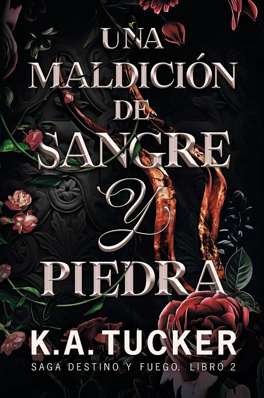 UNA MALDICION DE SANGRE Y PIEDRA (SAGA DESTINO Y FUEGO 2) [RUSTICA] | TUCKER, K. A. | Akira Comics  - libreria donde comprar comics, juegos y libros online